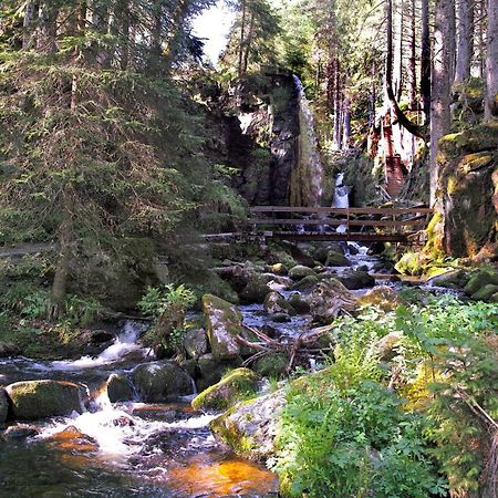 C4 Albmatte-Fewo Sauna, Hallenbad Aussenbecken Massagen Nebenan Menzenschwand-Hinterdorf Esterno foto