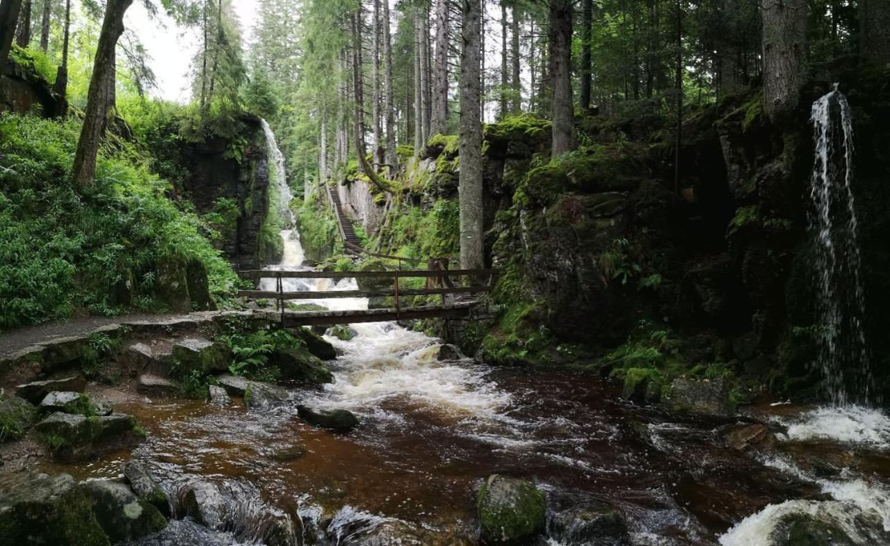 C4 Albmatte-Fewo Sauna, Hallenbad Aussenbecken Massagen Nebenan Menzenschwand-Hinterdorf Esterno foto