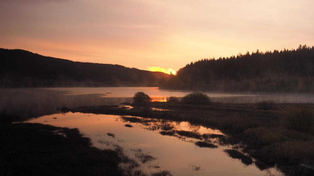C4 Albmatte-Fewo Sauna, Hallenbad Aussenbecken Massagen Nebenan Menzenschwand-Hinterdorf Esterno foto