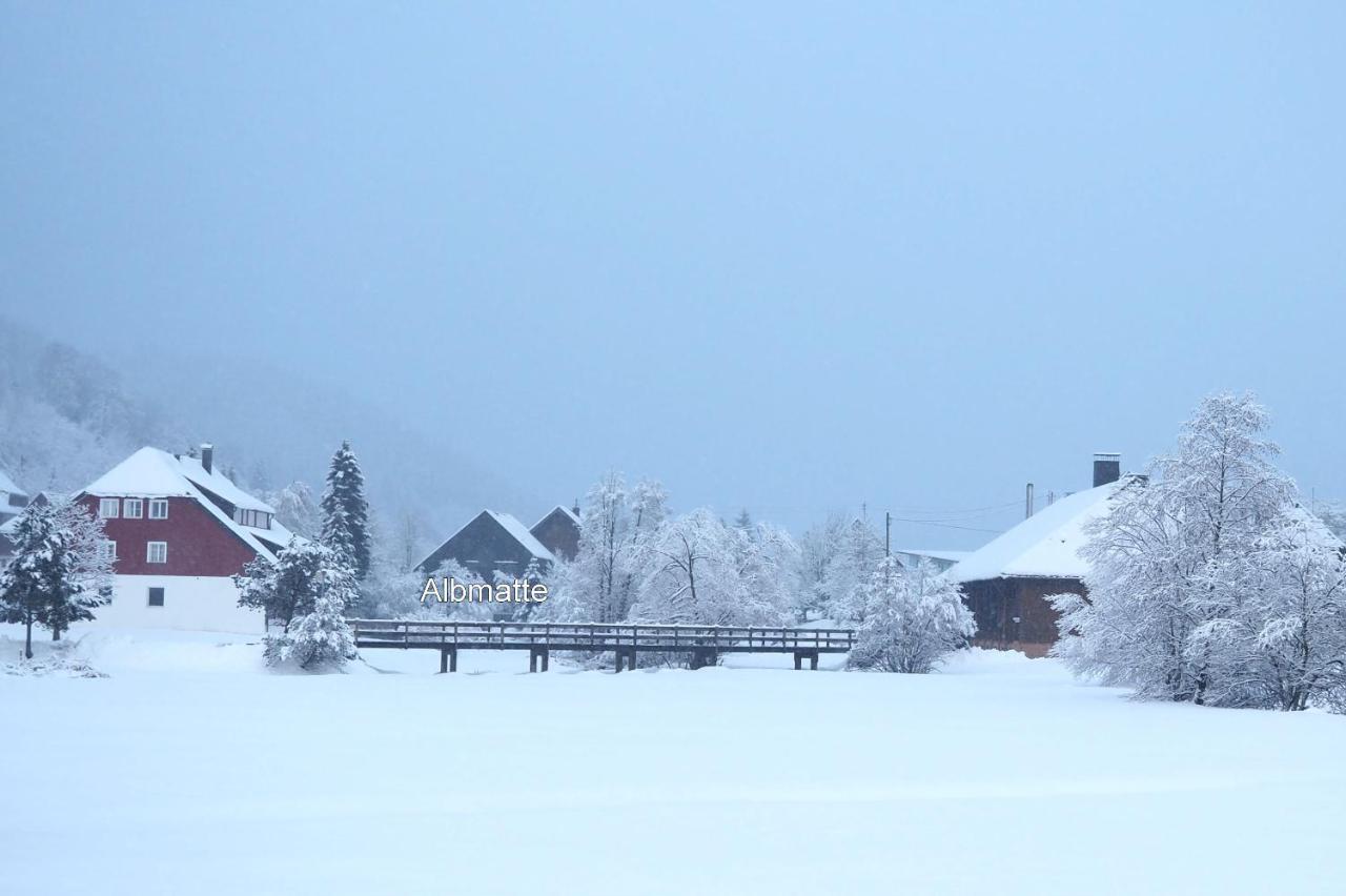 C4 Albmatte-Fewo Sauna, Hallenbad Aussenbecken Massagen Nebenan Menzenschwand-Hinterdorf Esterno foto