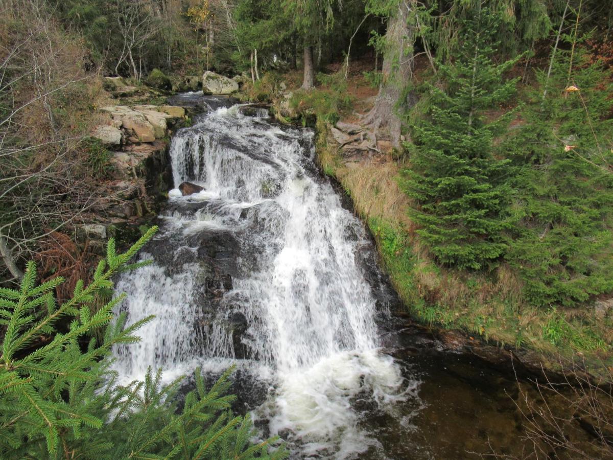 C4 Albmatte-Fewo Sauna, Hallenbad Aussenbecken Massagen Nebenan Menzenschwand-Hinterdorf Esterno foto