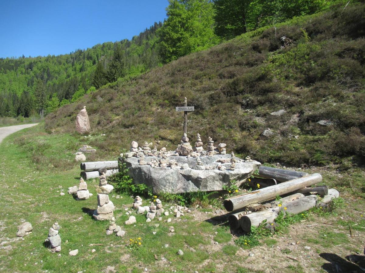 C4 Albmatte-Fewo Sauna, Hallenbad Aussenbecken Massagen Nebenan Menzenschwand-Hinterdorf Esterno foto