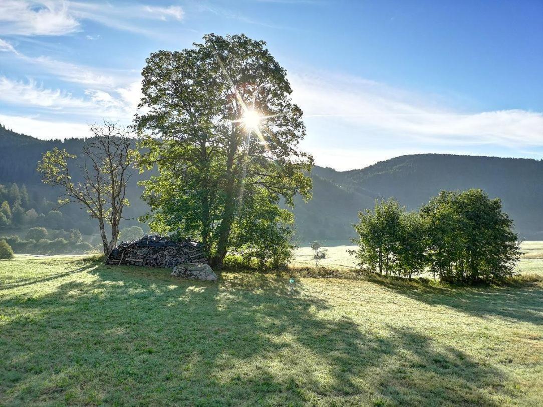 C4 Albmatte-Fewo Sauna, Hallenbad Aussenbecken Massagen Nebenan Menzenschwand-Hinterdorf Esterno foto