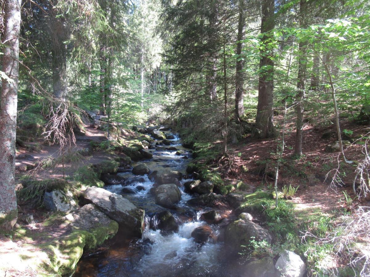 C4 Albmatte-Fewo Sauna, Hallenbad Aussenbecken Massagen Nebenan Menzenschwand-Hinterdorf Esterno foto