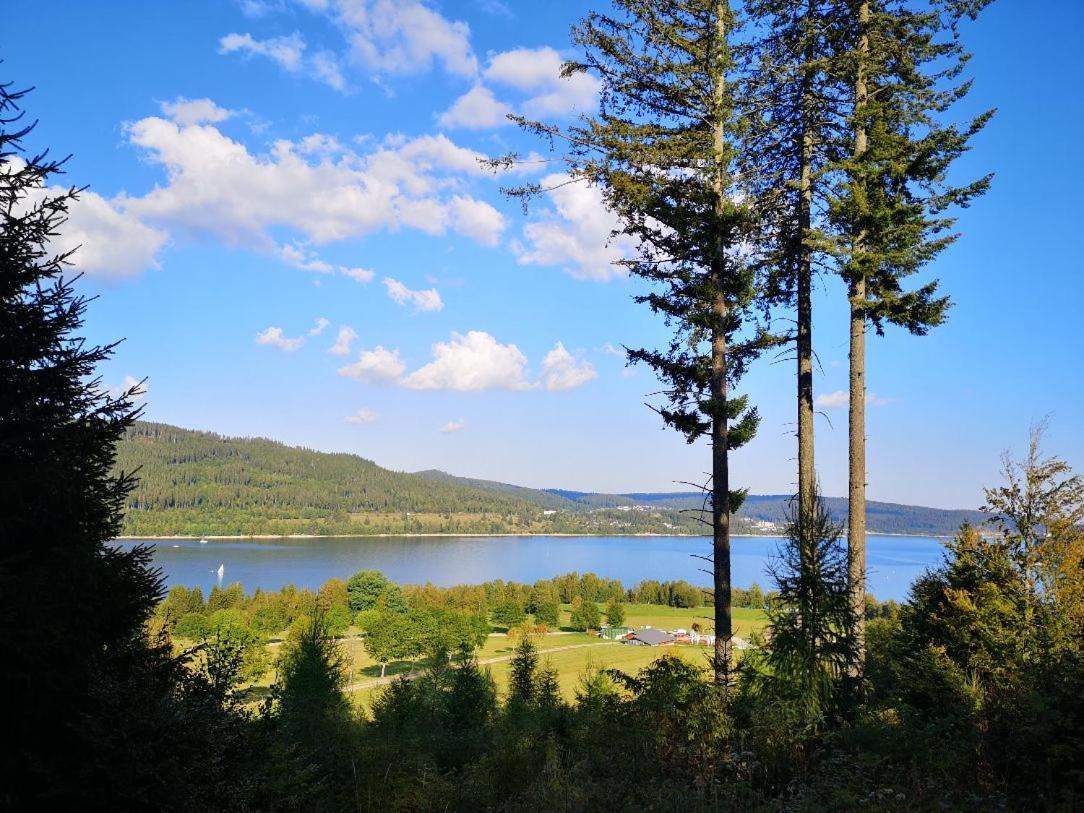 C4 Albmatte-Fewo Sauna, Hallenbad Aussenbecken Massagen Nebenan Menzenschwand-Hinterdorf Esterno foto