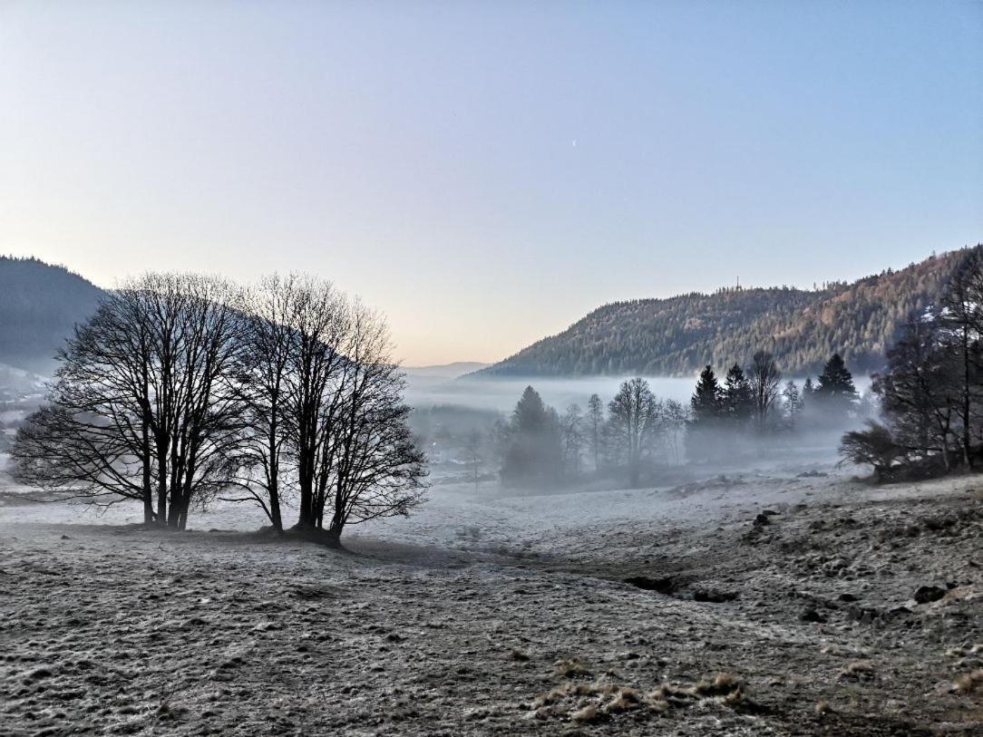 C4 Albmatte-Fewo Sauna, Hallenbad Aussenbecken Massagen Nebenan Menzenschwand-Hinterdorf Esterno foto