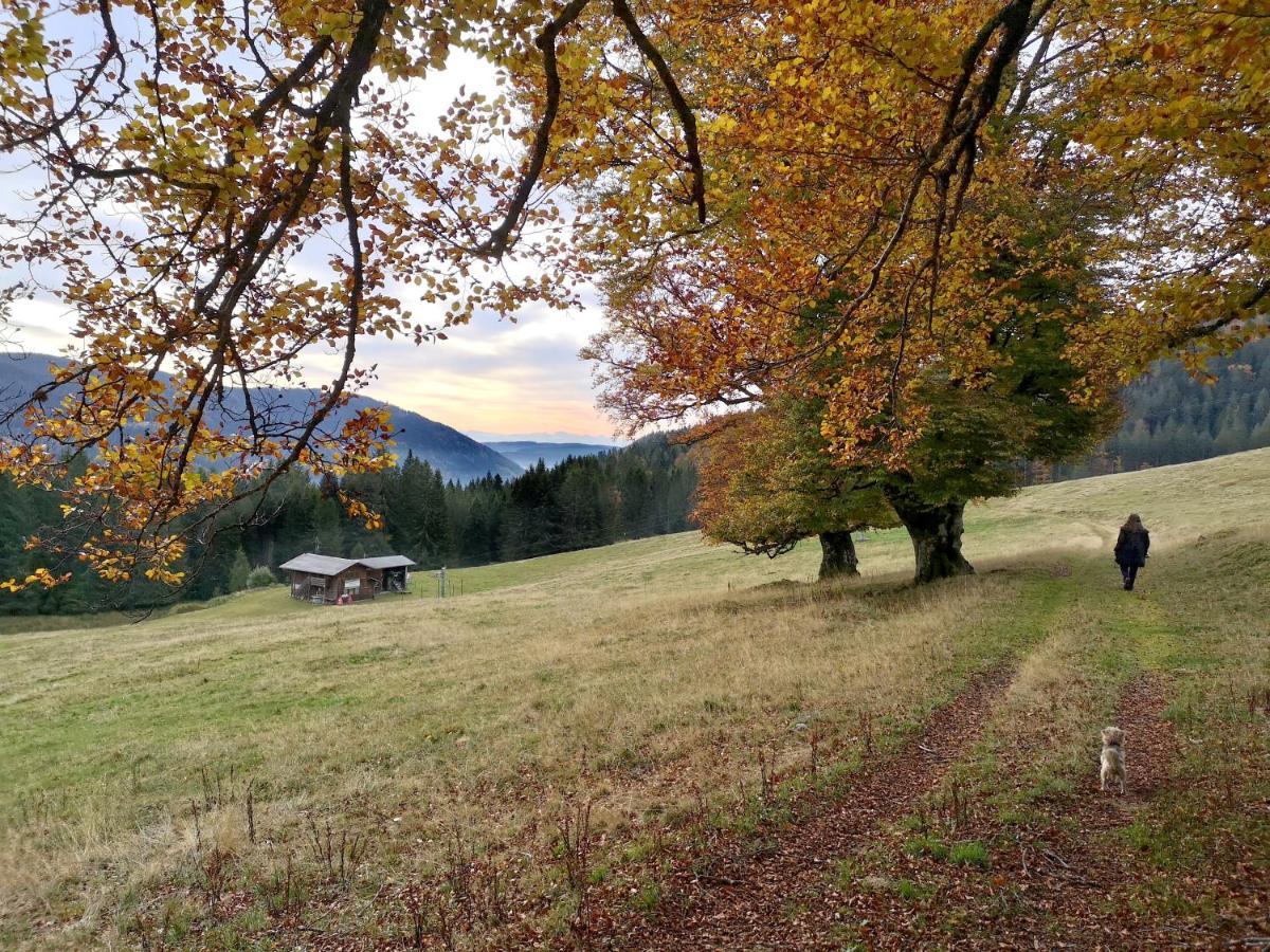 C4 Albmatte-Fewo Sauna, Hallenbad Aussenbecken Massagen Nebenan Menzenschwand-Hinterdorf Esterno foto