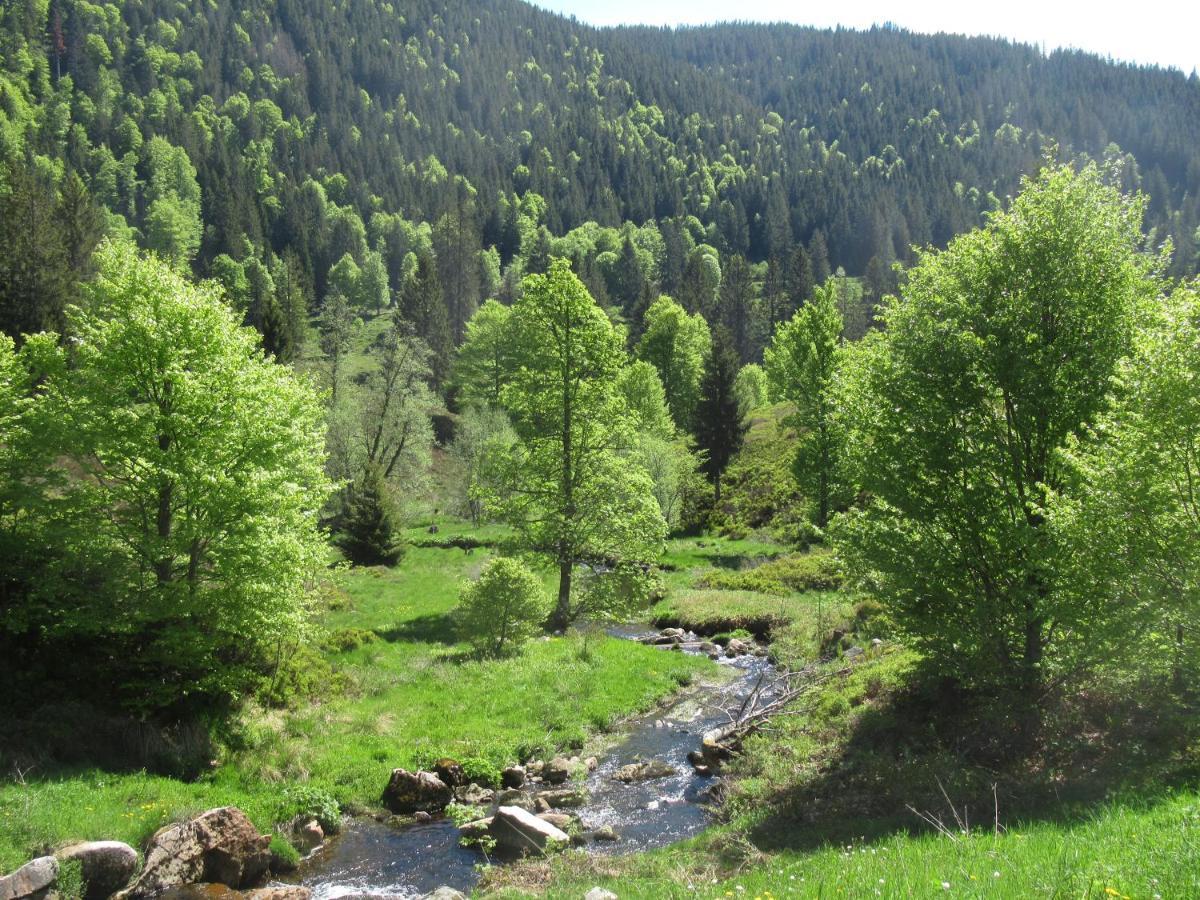 C4 Albmatte-Fewo Sauna, Hallenbad Aussenbecken Massagen Nebenan Menzenschwand-Hinterdorf Esterno foto