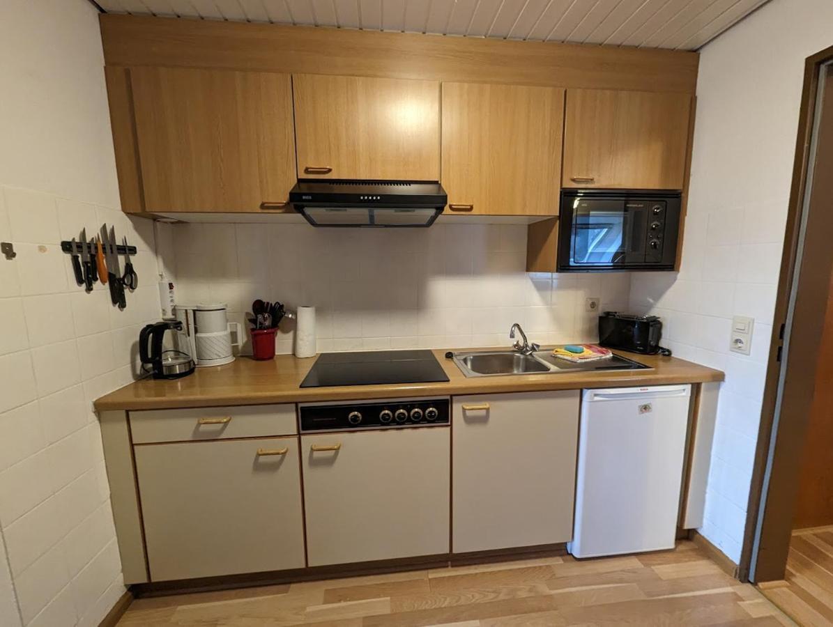 C4 Albmatte-Fewo Sauna, Hallenbad Aussenbecken Massagen Nebenan Menzenschwand-Hinterdorf Esterno foto