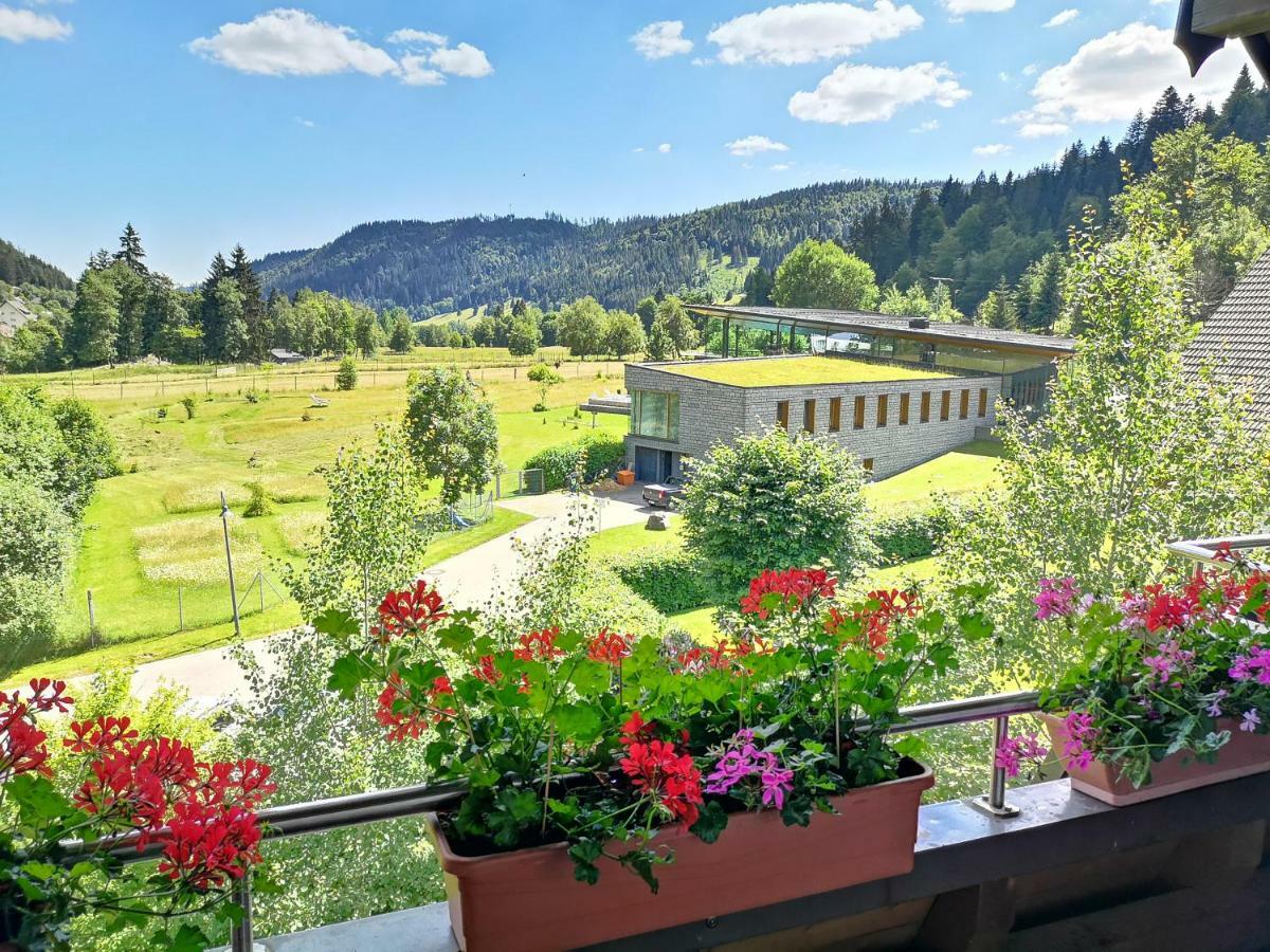 C4 Albmatte-Fewo Sauna, Hallenbad Aussenbecken Massagen Nebenan Menzenschwand-Hinterdorf Esterno foto