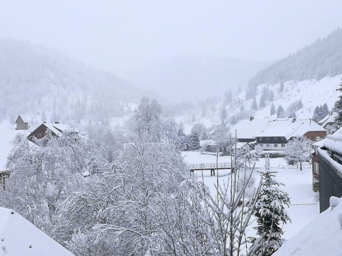 C4 Albmatte-Fewo Sauna, Hallenbad Aussenbecken Massagen Nebenan Menzenschwand-Hinterdorf Esterno foto