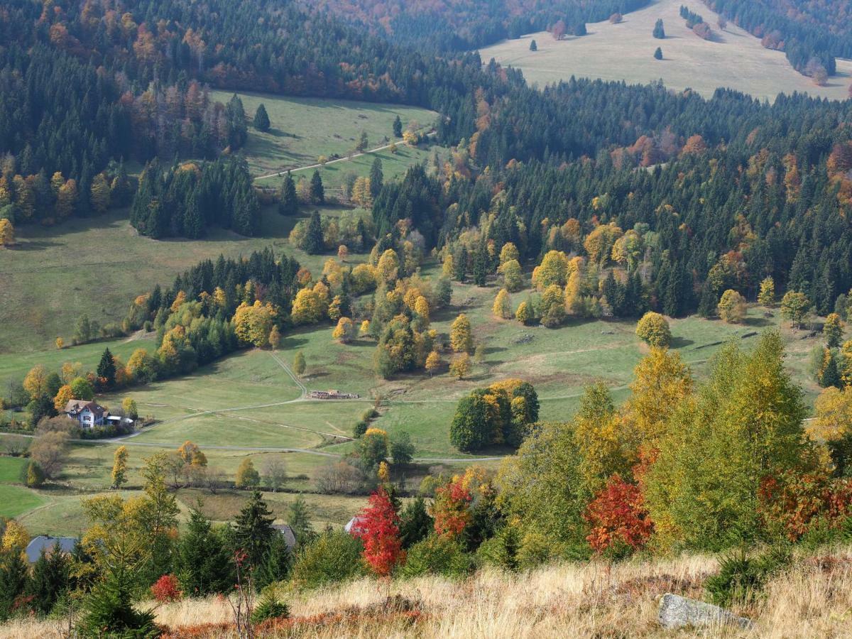 C4 Albmatte-Fewo Sauna, Hallenbad Aussenbecken Massagen Nebenan Menzenschwand-Hinterdorf Esterno foto