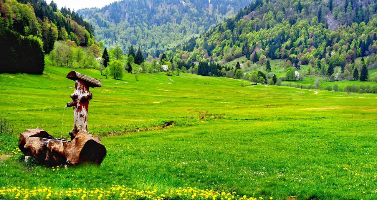 C4 Albmatte-Fewo Sauna, Hallenbad Aussenbecken Massagen Nebenan Menzenschwand-Hinterdorf Esterno foto