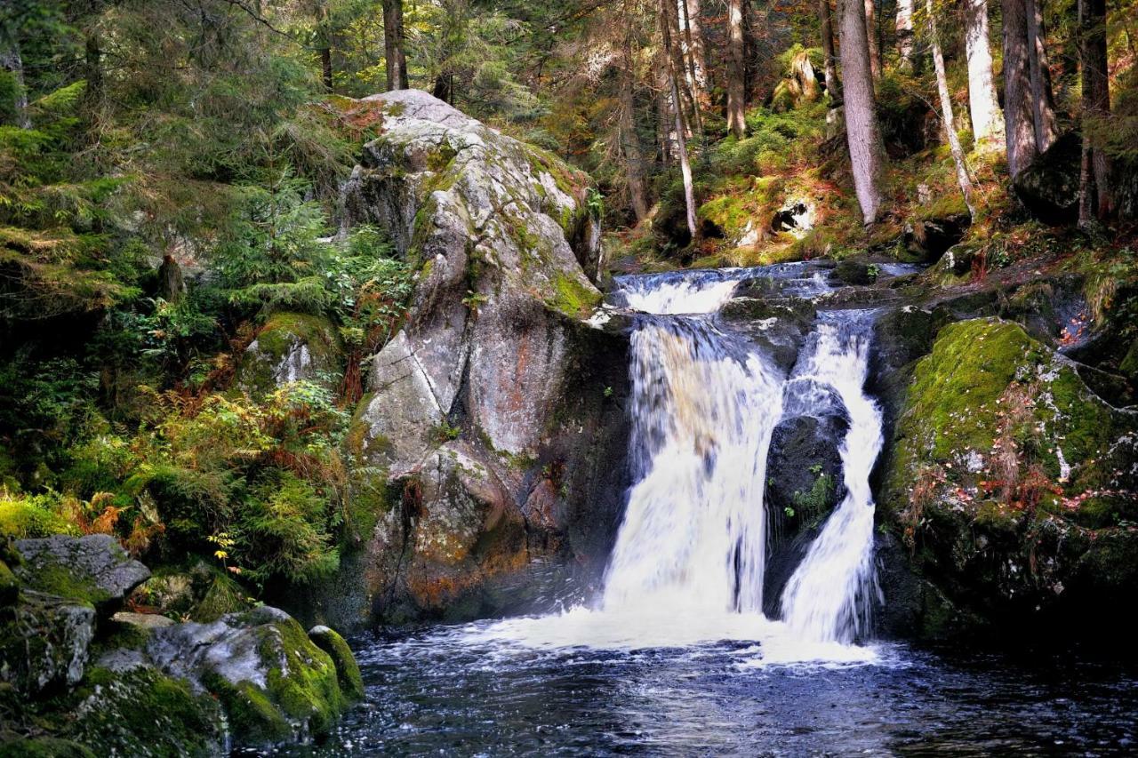 C4 Albmatte-Fewo Sauna, Hallenbad Aussenbecken Massagen Nebenan Menzenschwand-Hinterdorf Esterno foto