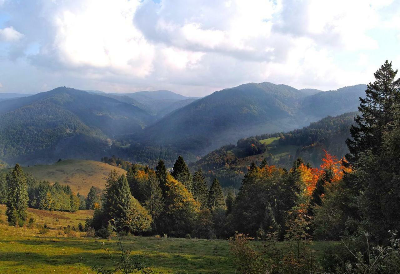 C4 Albmatte-Fewo Sauna, Hallenbad Aussenbecken Massagen Nebenan Menzenschwand-Hinterdorf Esterno foto
