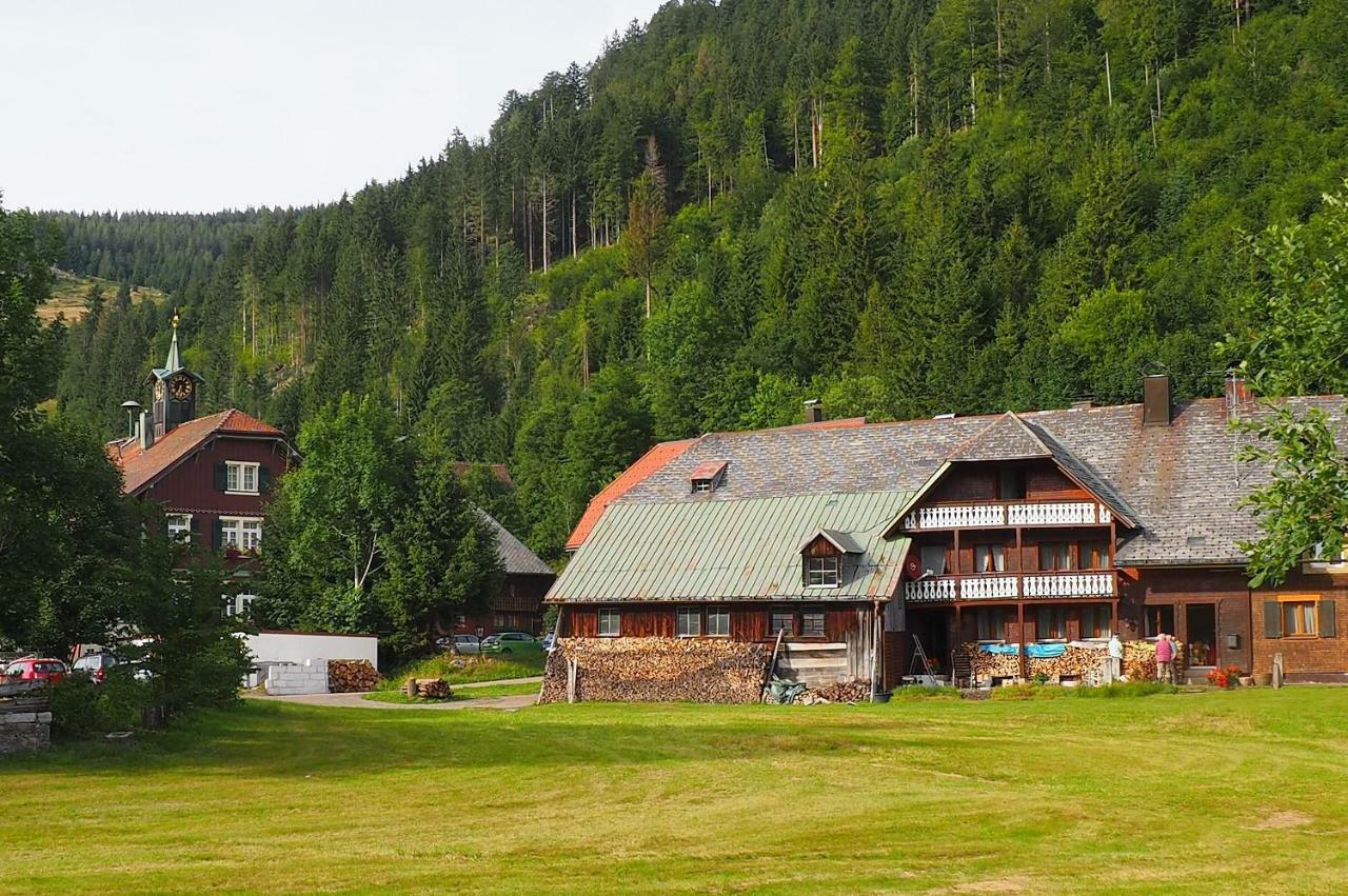 C4 Albmatte-Fewo Sauna, Hallenbad Aussenbecken Massagen Nebenan Menzenschwand-Hinterdorf Esterno foto