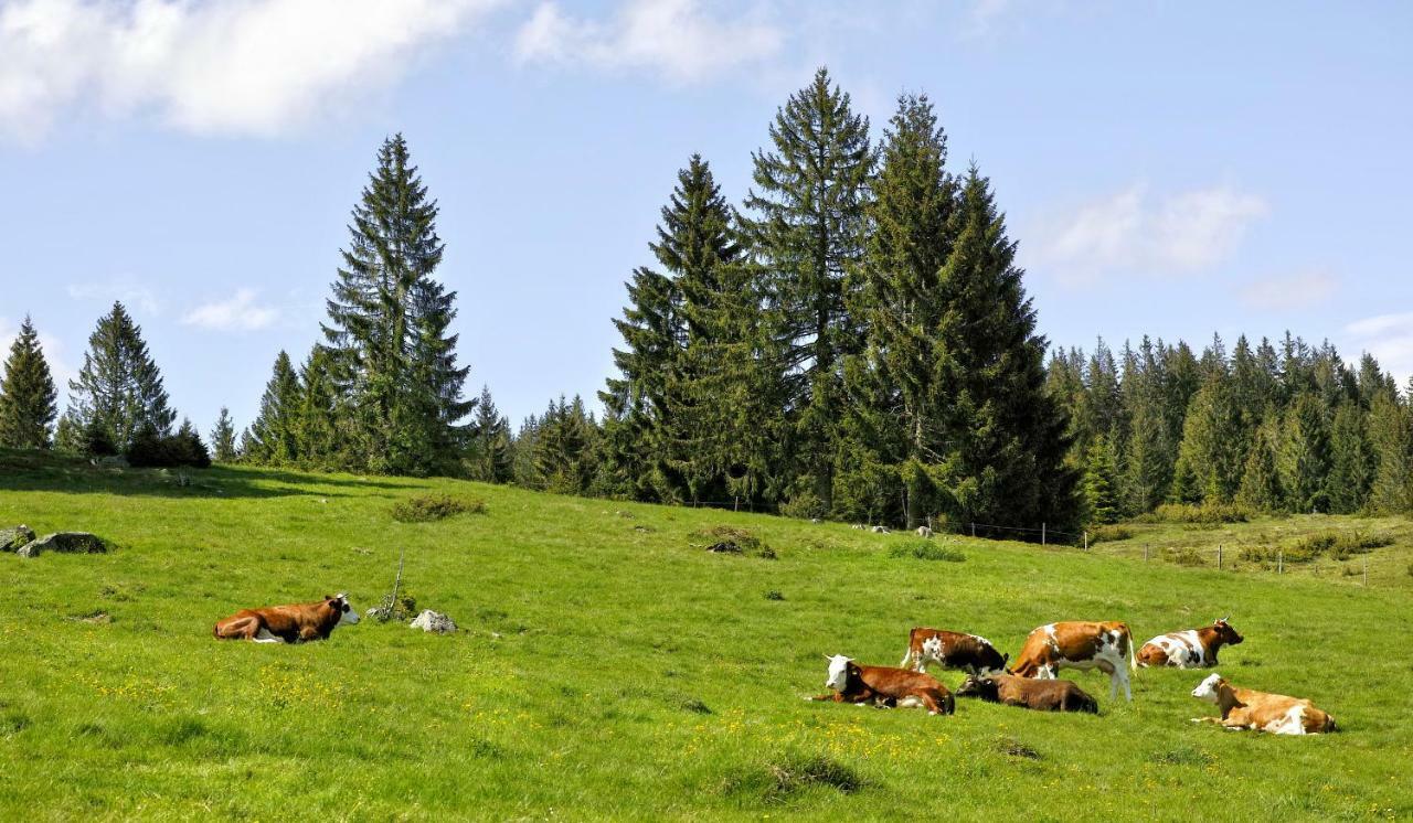 C4 Albmatte-Fewo Sauna, Hallenbad Aussenbecken Massagen Nebenan Menzenschwand-Hinterdorf Esterno foto