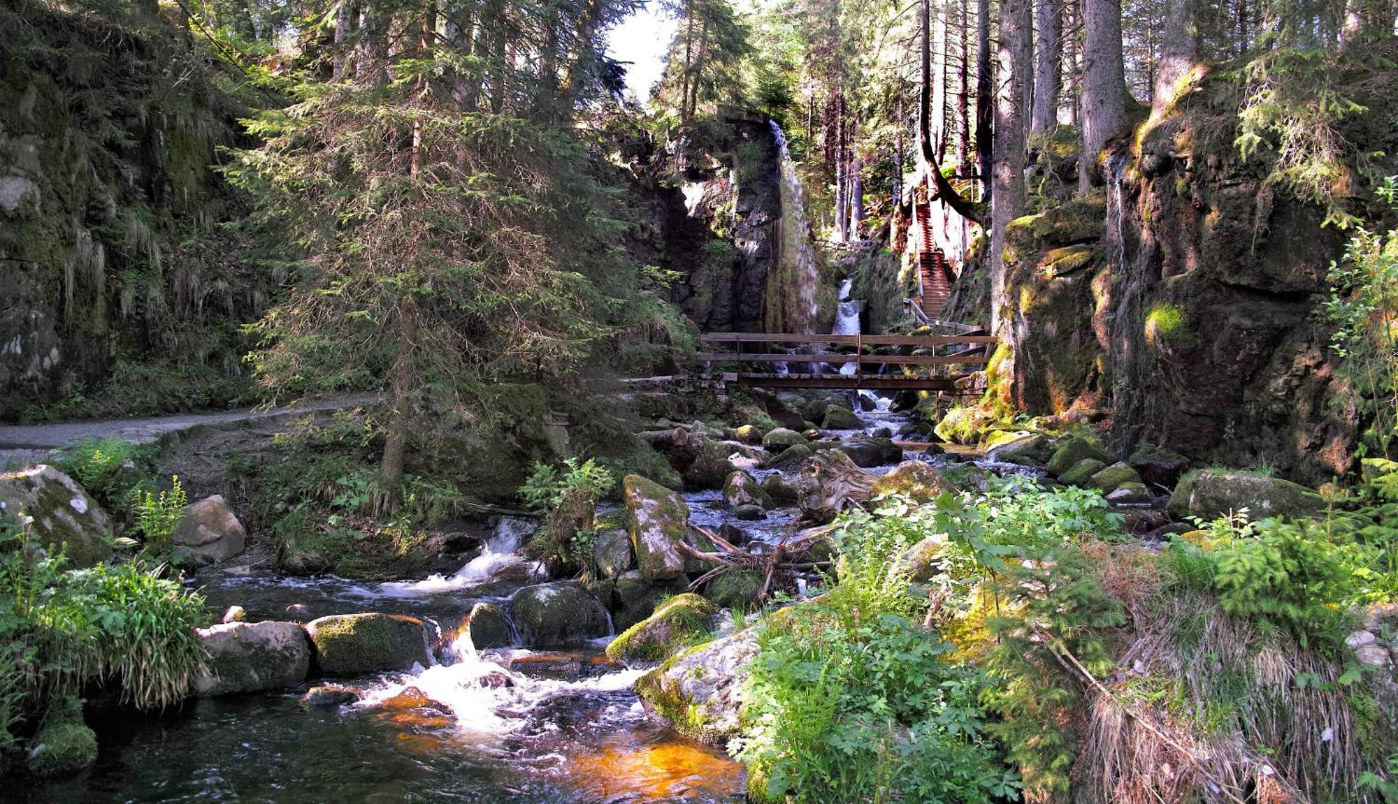 C4 Albmatte-Fewo Sauna, Hallenbad Aussenbecken Massagen Nebenan Menzenschwand-Hinterdorf Esterno foto