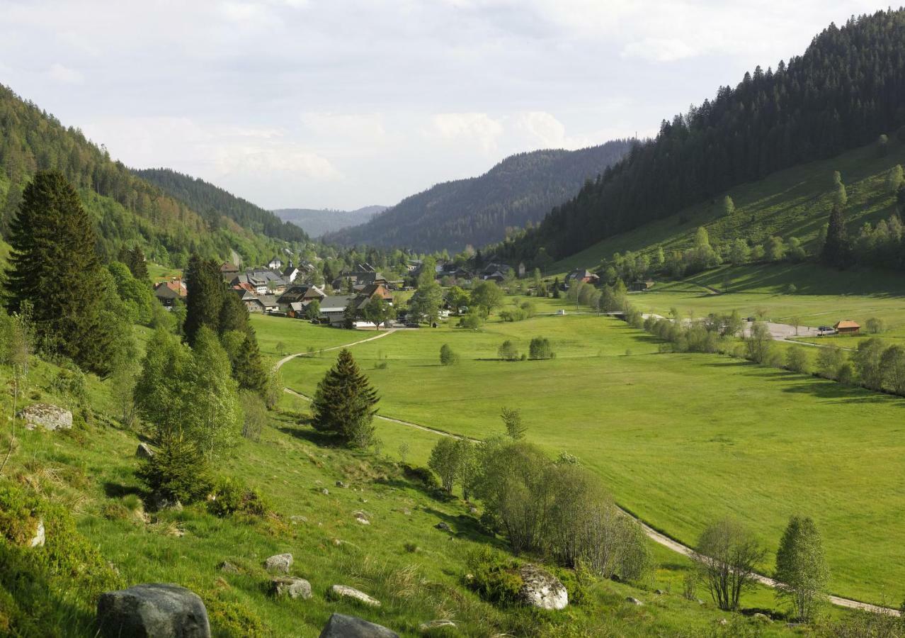 C4 Albmatte-Fewo Sauna, Hallenbad Aussenbecken Massagen Nebenan Menzenschwand-Hinterdorf Esterno foto