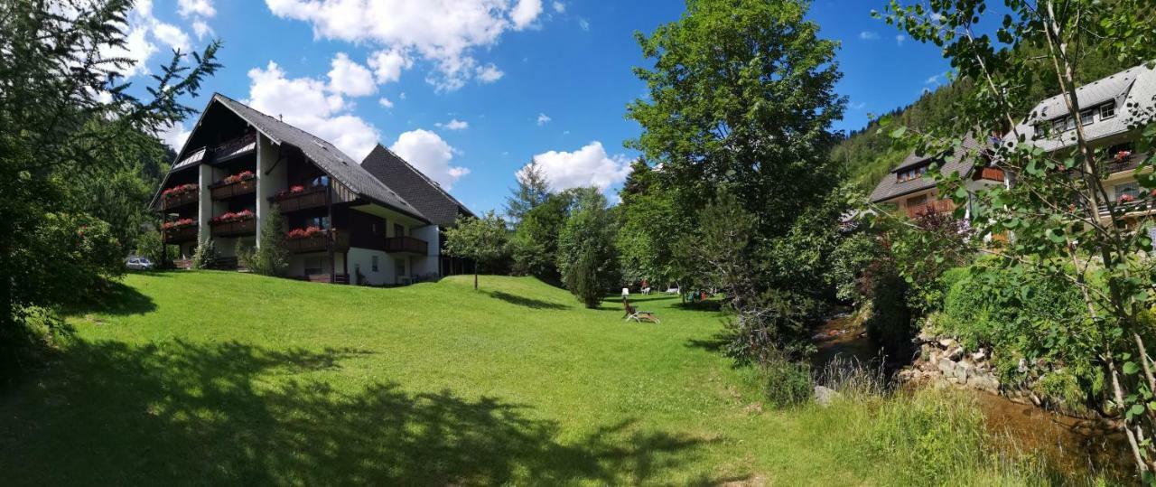 C4 Albmatte-Fewo Sauna, Hallenbad Aussenbecken Massagen Nebenan Menzenschwand-Hinterdorf Esterno foto