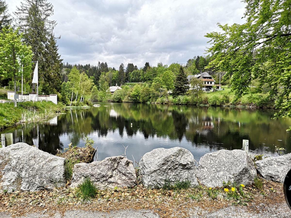 C4 Albmatte-Fewo Sauna, Hallenbad Aussenbecken Massagen Nebenan Menzenschwand-Hinterdorf Esterno foto