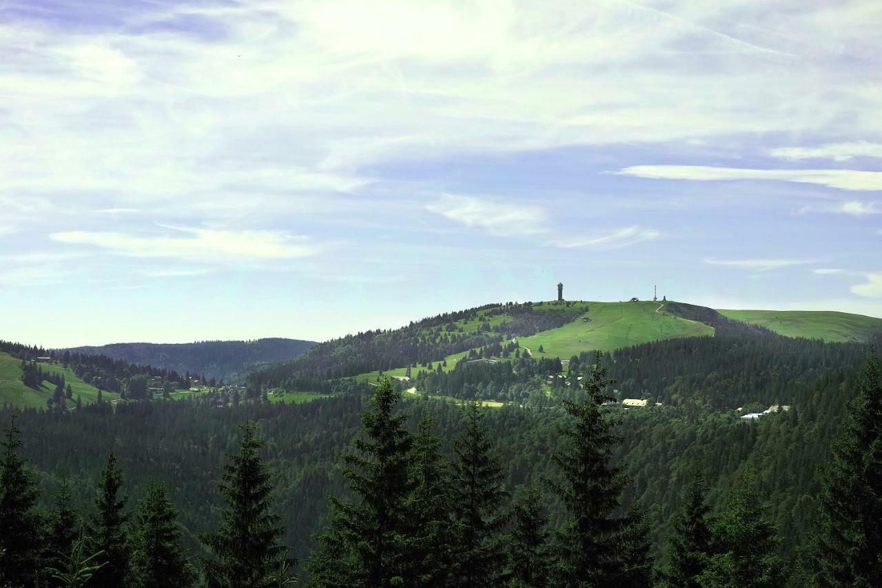 C4 Albmatte-Fewo Sauna, Hallenbad Aussenbecken Massagen Nebenan Menzenschwand-Hinterdorf Esterno foto