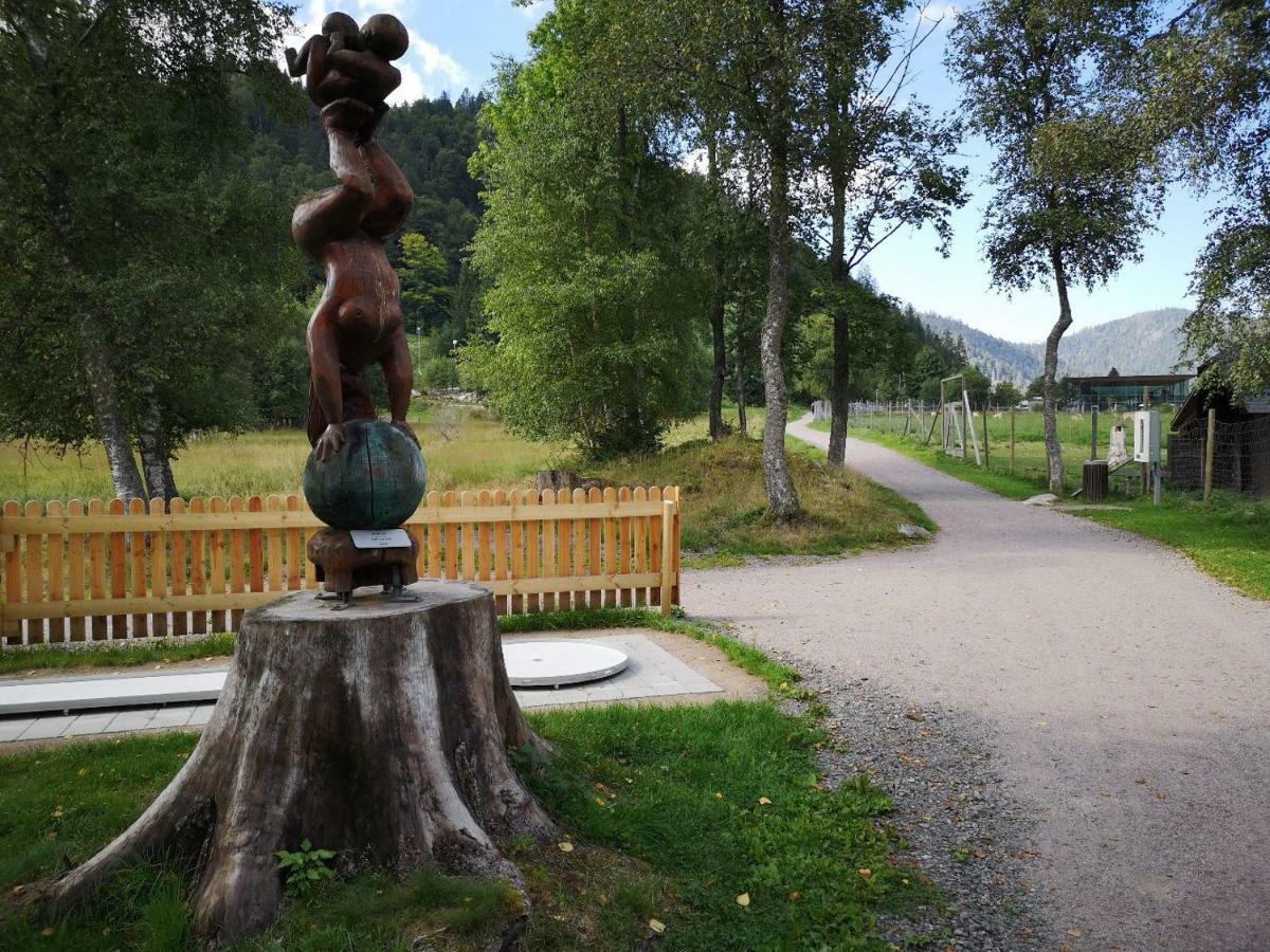 C4 Albmatte-Fewo Sauna, Hallenbad Aussenbecken Massagen Nebenan Menzenschwand-Hinterdorf Esterno foto